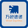 Wise Express Logo
