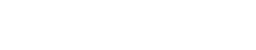 dropshipman logo