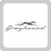 Greyhound