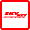Skynet South Africa Logo