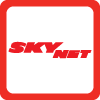 SkyNet国际快递 Logo
