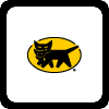 T Cat